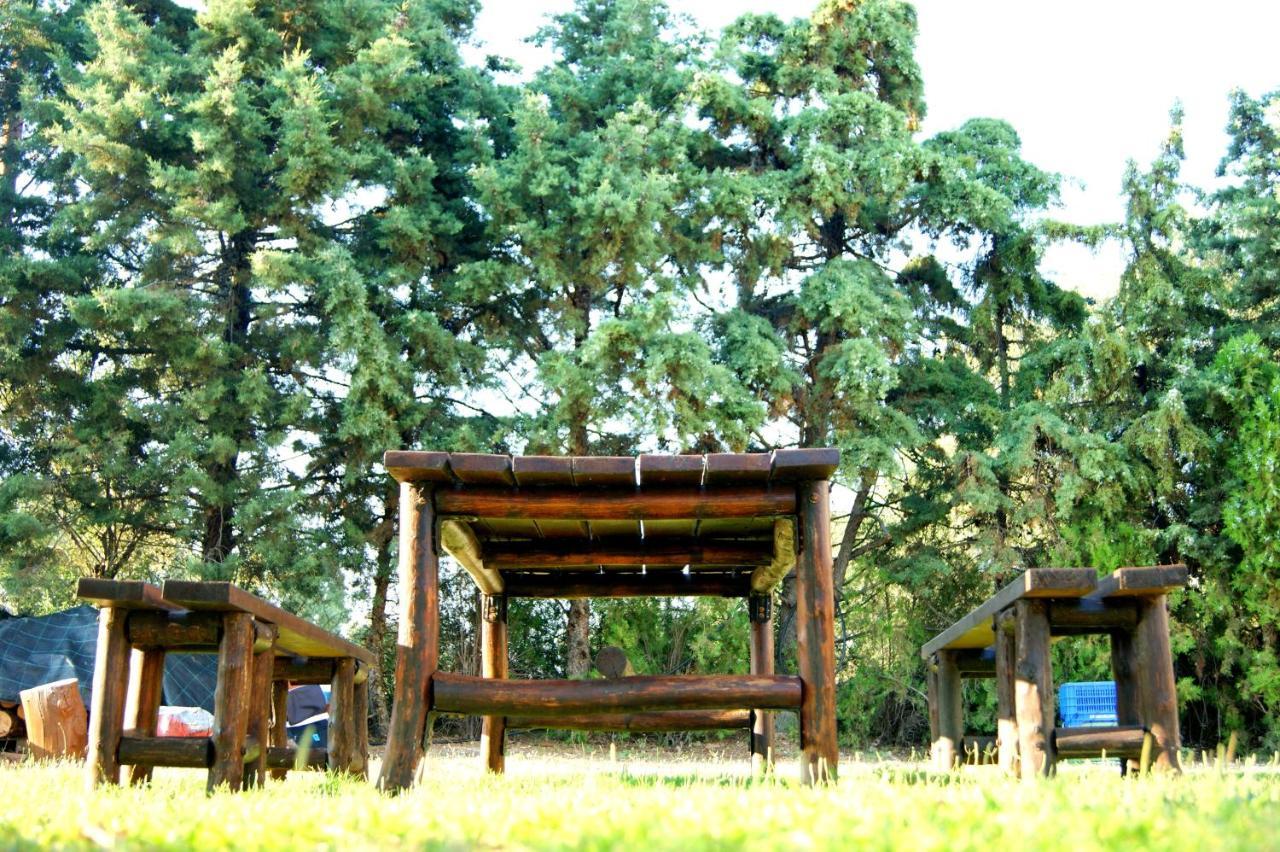 Simplicity At Iris Accommodation بساكوذيا المظهر الخارجي الصورة