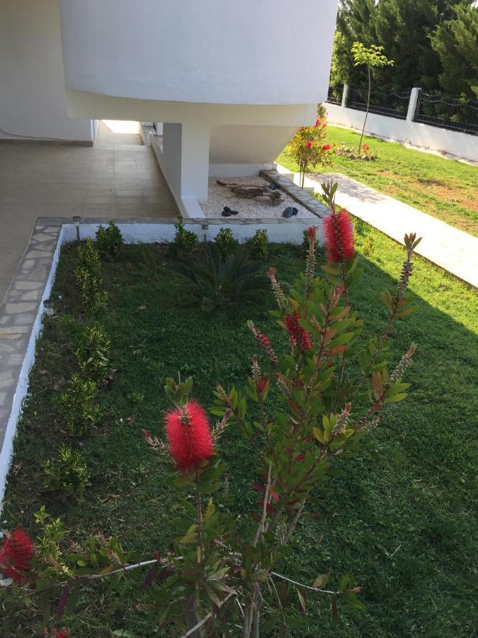 Simplicity At Iris Accommodation بساكوذيا المظهر الخارجي الصورة