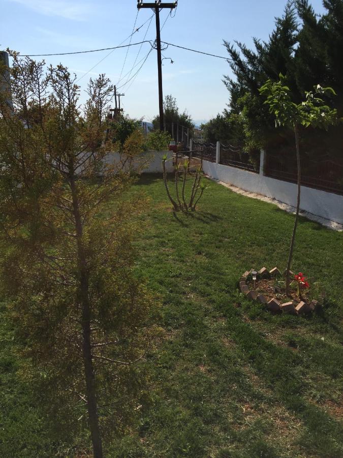 Simplicity At Iris Accommodation بساكوذيا المظهر الخارجي الصورة