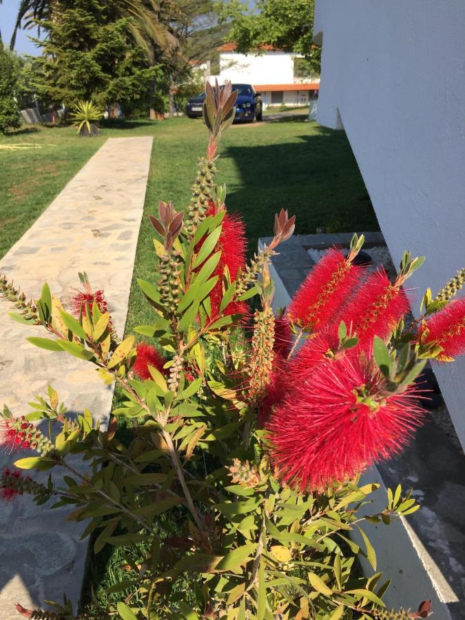 Simplicity At Iris Accommodation بساكوذيا المظهر الخارجي الصورة